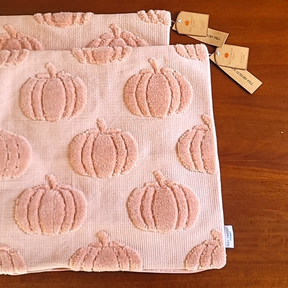 Plush Pumkin Pillow Covers Blush Pink 2 Pack, 19.5 x 19.5 - Picture 1 of 9